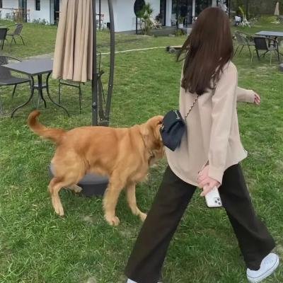 钟鼓楼